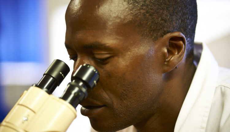 Westfalia’s inhouse researchers at research programme in South Africa.